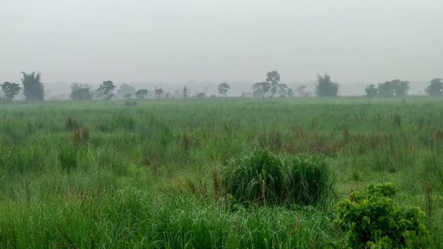 Que faire au national park de Chitwan ? Blog voyage