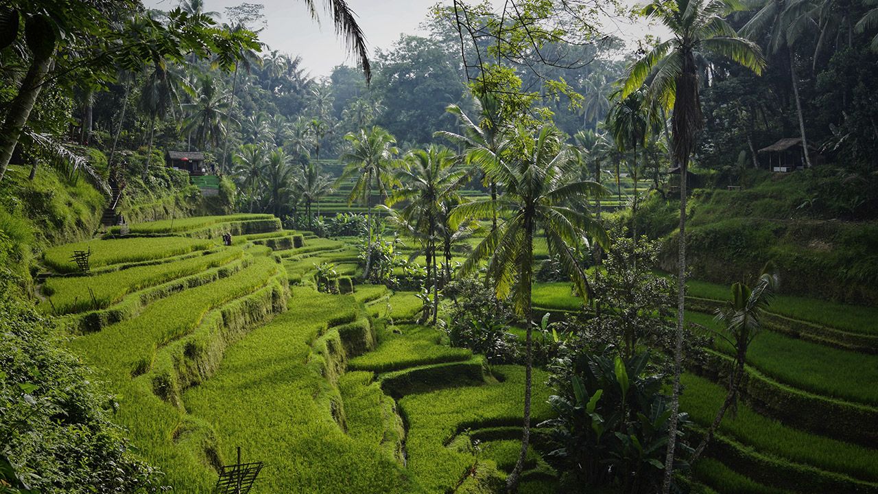Louer une villa de luxe à Bali